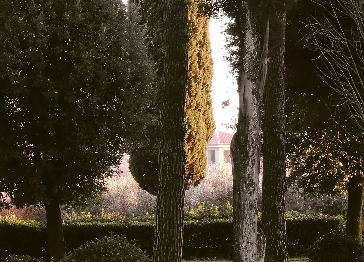 Apartment Villa Tommasini La Torre Campogialli Italy