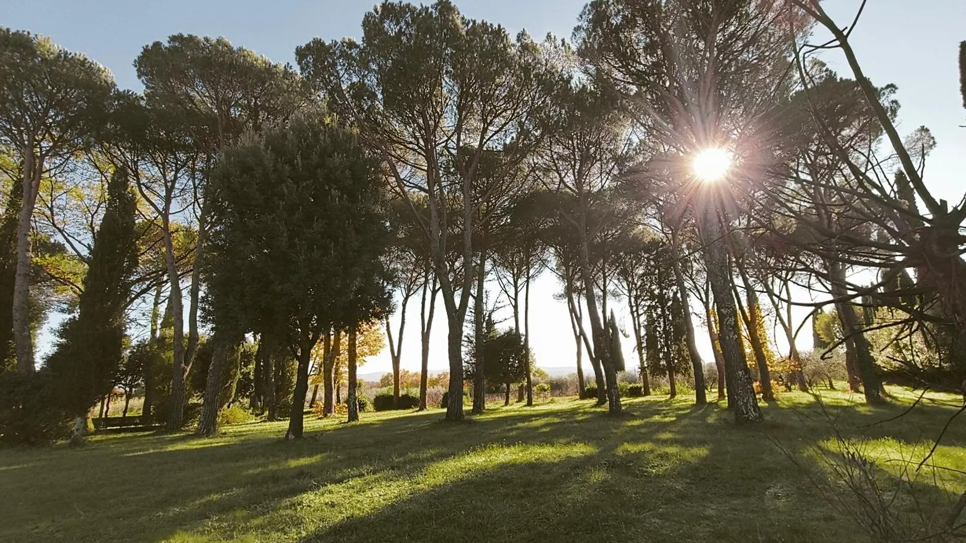 Villa Tommasini La Torre Campogialli Apartment