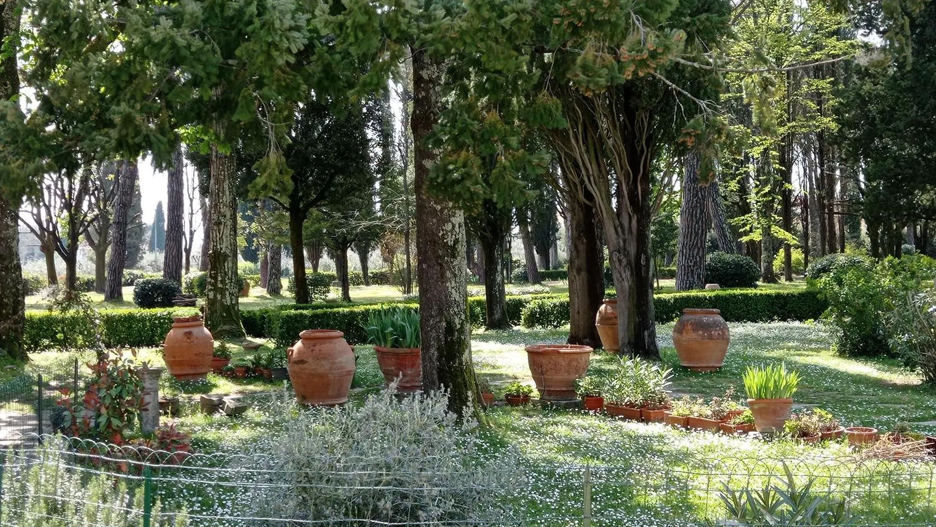 Villa Tommasini La Torre Campogialli Apartment