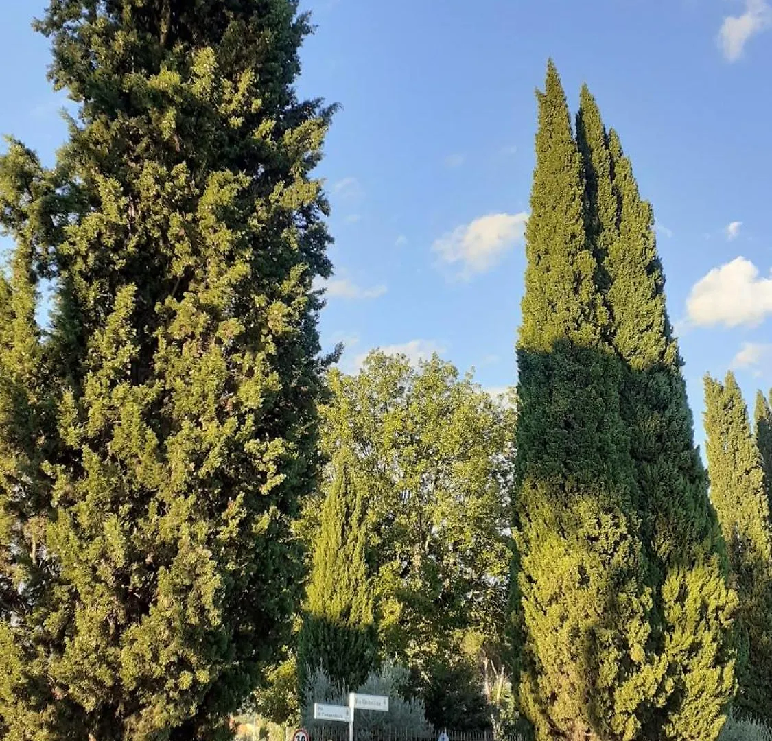 Apartment Villa Tommasini La Torre Campogialli Italy