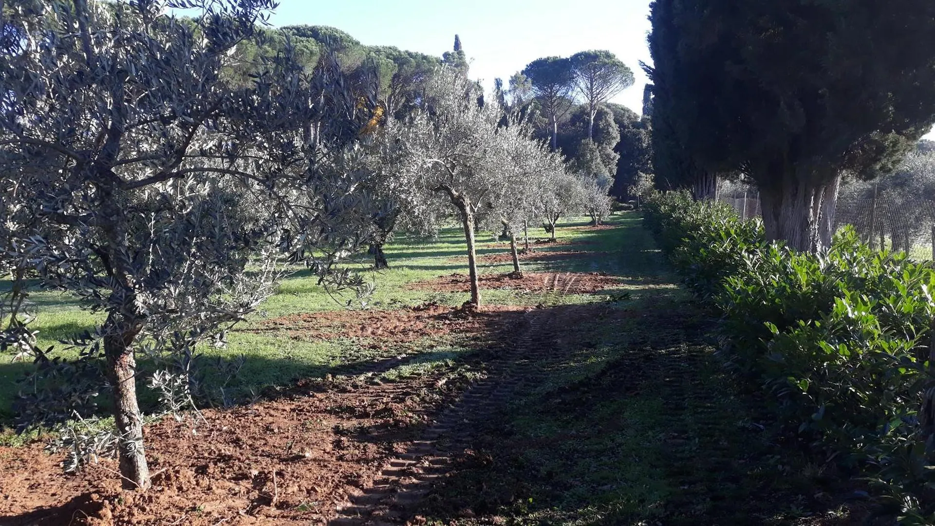 Villa Tommasini La Torre Campogialli Italy