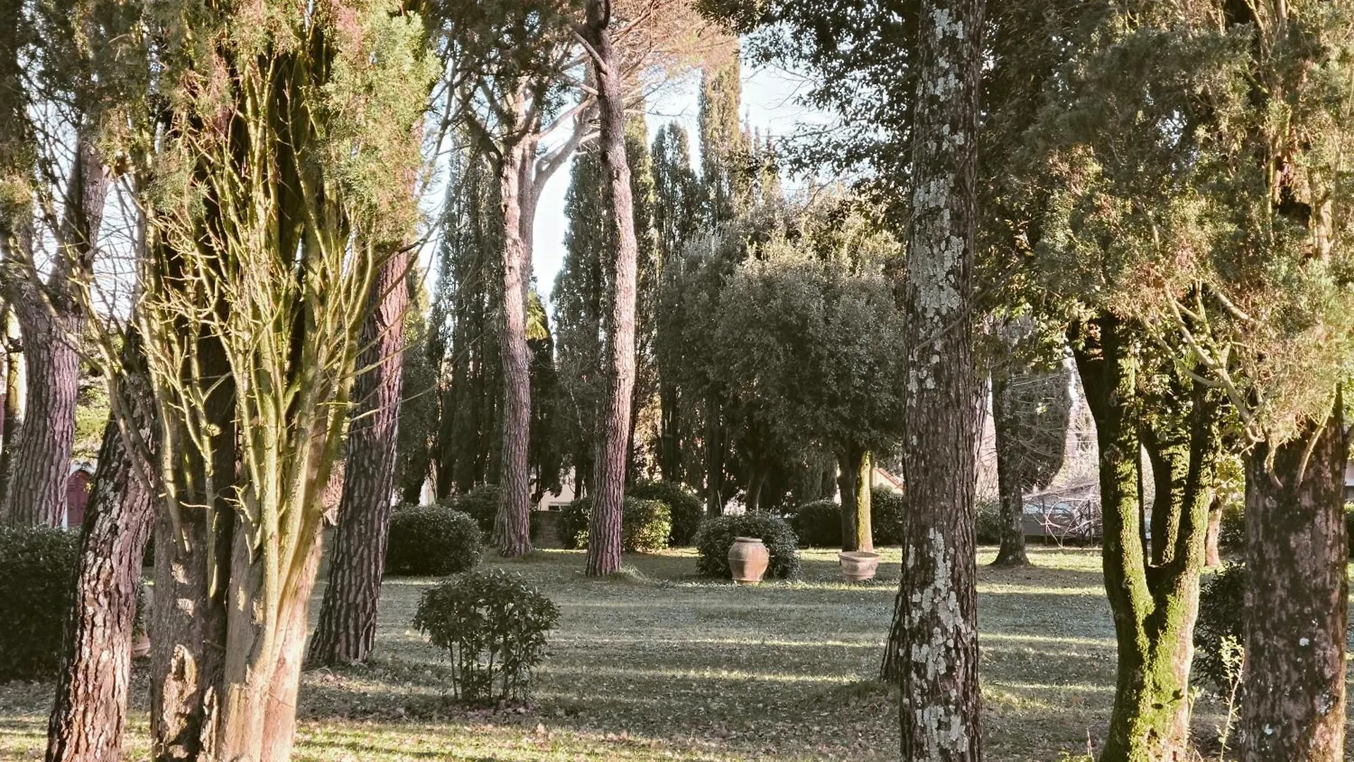 Villa Tommasini La Torre Campogialli Apartment