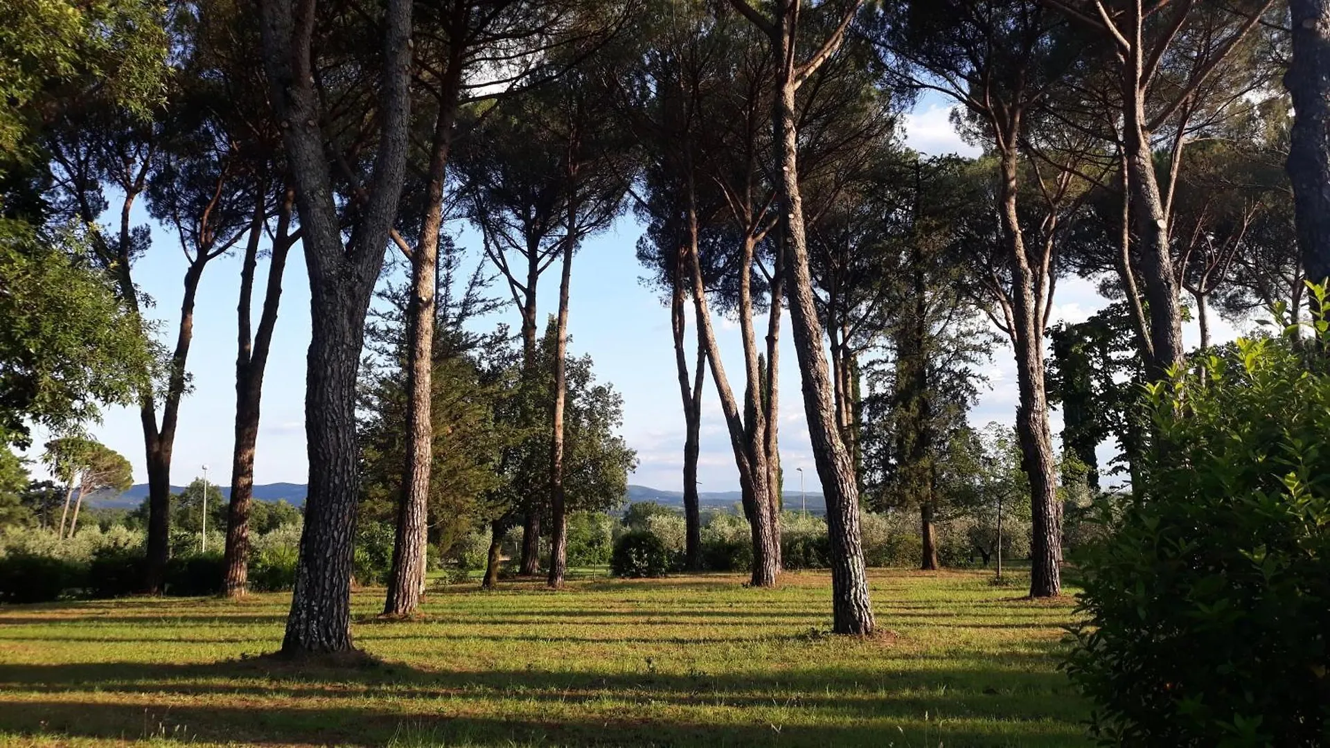 Villa Tommasini La Torre Campogialli