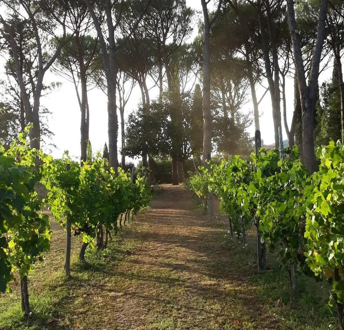 아파트 Villa Tommasini La Torre Campogialli